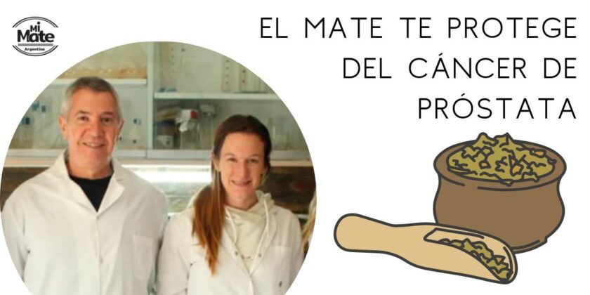 Científicos mendocinos demuestran el “efecto protector” de un tradicional producto argentino frente al cáncer de próstata